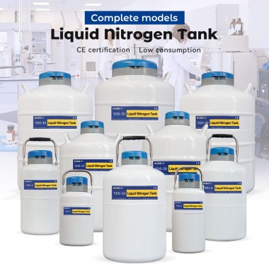 Brunei-liquid nitrogen cell culture storage-YDS liquid nitrogen container KGSQ