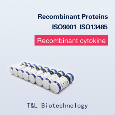 Recombinant Human IL-12 Protein