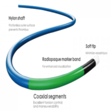 Guiding Catheter