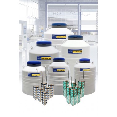 Chile KGSQ liquid nitrogen tank YDS-145-216 liquid nitrogen tanks for cell storage