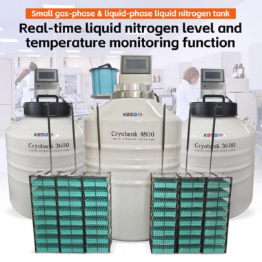 Brazil aluminum alloy Liquid Nitrogen Storage Tank KGSQ cryogenic transport container