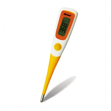 digital thermometer