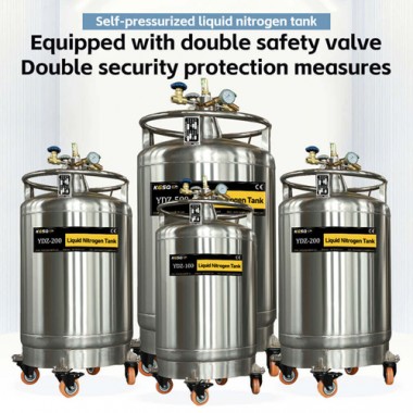 Tunisia stainless steel liquid nitrogen tank KGSQ dewar 50L for N2 self pressured