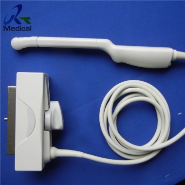 Biosound Esaote EC1123 Endocavitary Convex 10mm Transducer