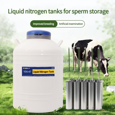 Jamaica-semen cryopreservation-YDS-15 liquid nitrogen container