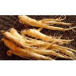 Natural Ginseng Extract Roots