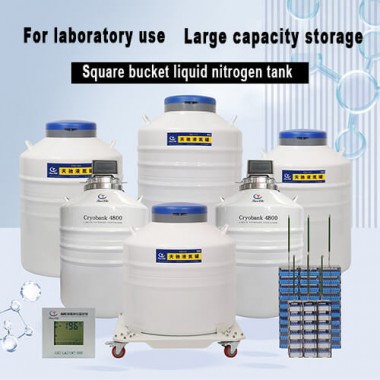 Rwanda liquid nitrogen tank for cell storage KGSQ cryogenic container