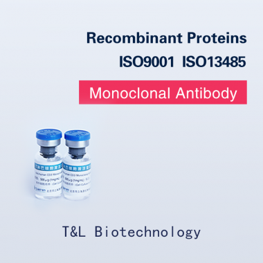 Humanized Anti-Human CD3 mAb