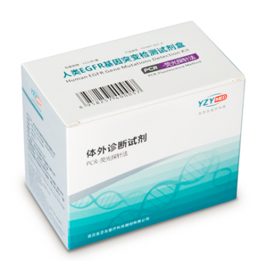 Human EGFR Gene Mutation Detection Kit