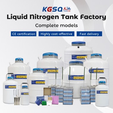 Angola-sperm storage-dewar flask liquid nitrogen container KGSQ