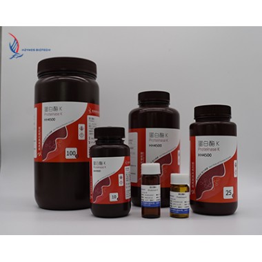 Molecular Biology Proteinase K