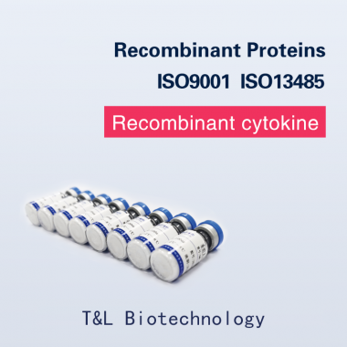 Recombinant Human MCP-1 (CCL2)