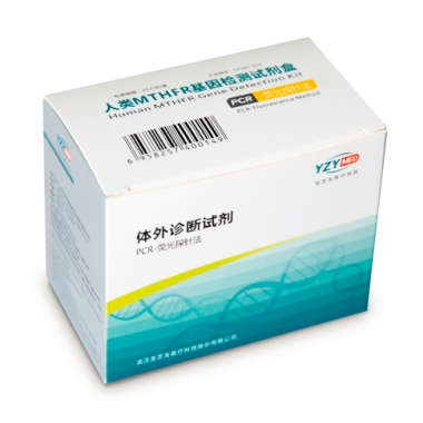 Human MTHFR Gene Detection Kit