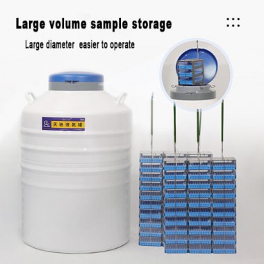 South Africa liquid nitrogen cell culture storage KGSQ liquid nitrogen container